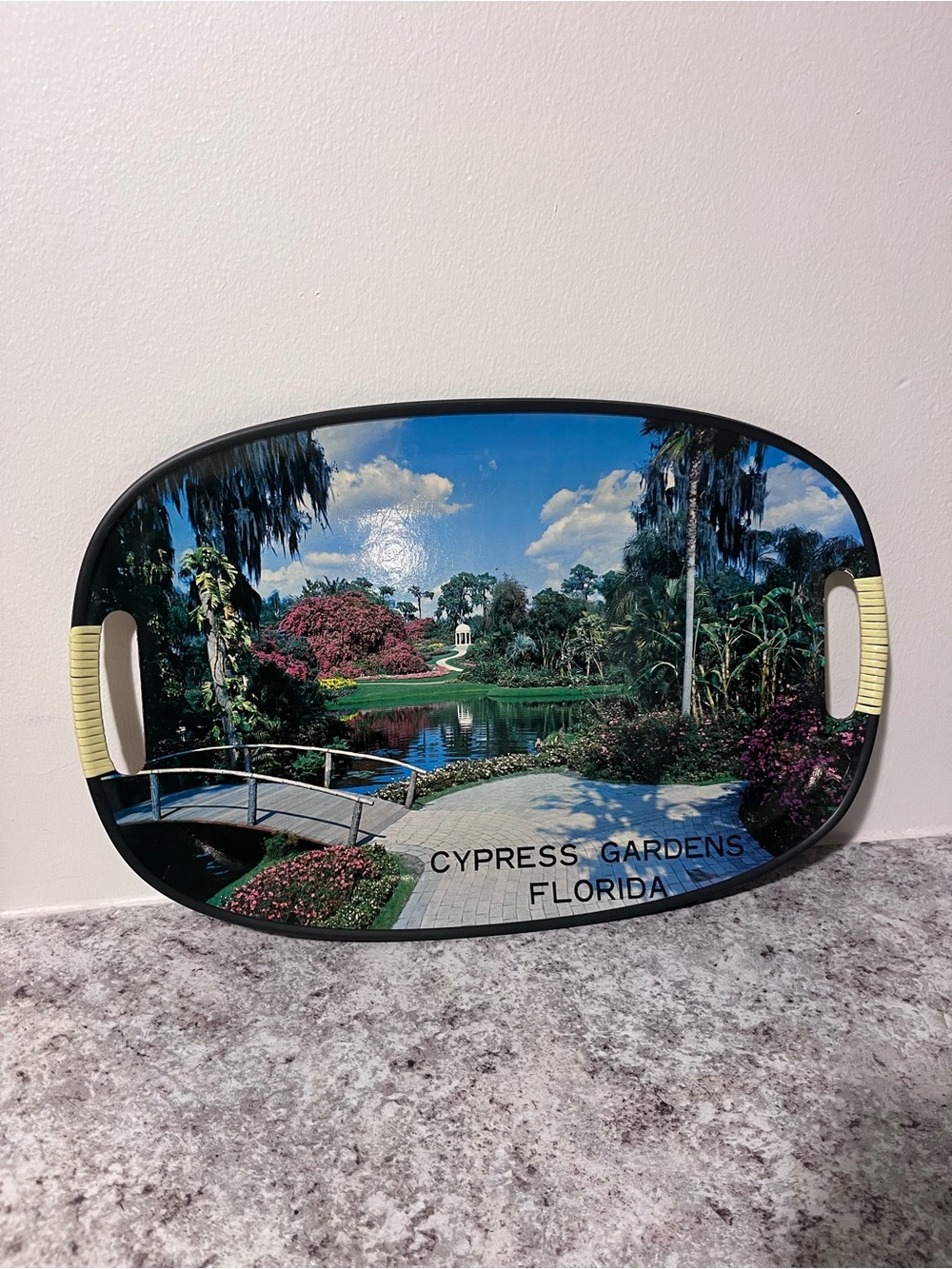 Vintage Cypress Gardens Florida Photo Oval Handled Serving Tray - Mid Century